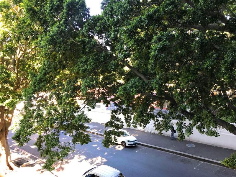 To Let 2 Bedroom Property for Rent in Cape Town City Centre Western Cape